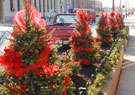 Outdoor Seasonal Displays