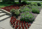 Maintenance of Lawn & Beds