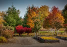 Dave Talboom Nursery